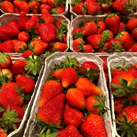 Căpșunile au apărut în piețele din Capitală. Cât a ajuns să coste 1 kg?