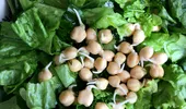 Ce să pui în salată ca să țină de foame și să nu îngrașe. 5 ingrediente cu puține calorii