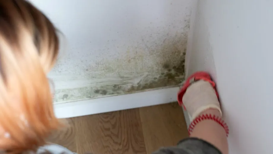 Elimină mucegaiul de pe pereți în 10 minute cu o soluție naturală, făcută în casă