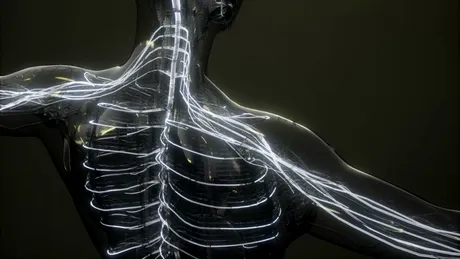 Cavernomul cerebral: cauze, simptome, tratament