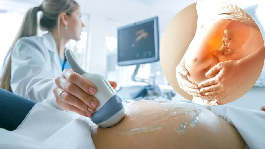 Morfologia fetală de trimestrul 2: când se face, cum te pregătești, ce anomalii poate depista