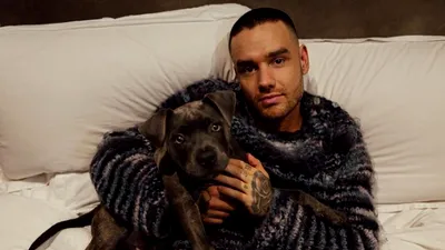 Doliu în lumea muzicii. Liam Payne a decedat la vârsta de 31 de ani! Ce a făcut în ultimele clipe de viață