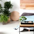 Lucrurile pe care să NU le ții în casă, pentru a avea noroc la bani în august, conform Feng Shui