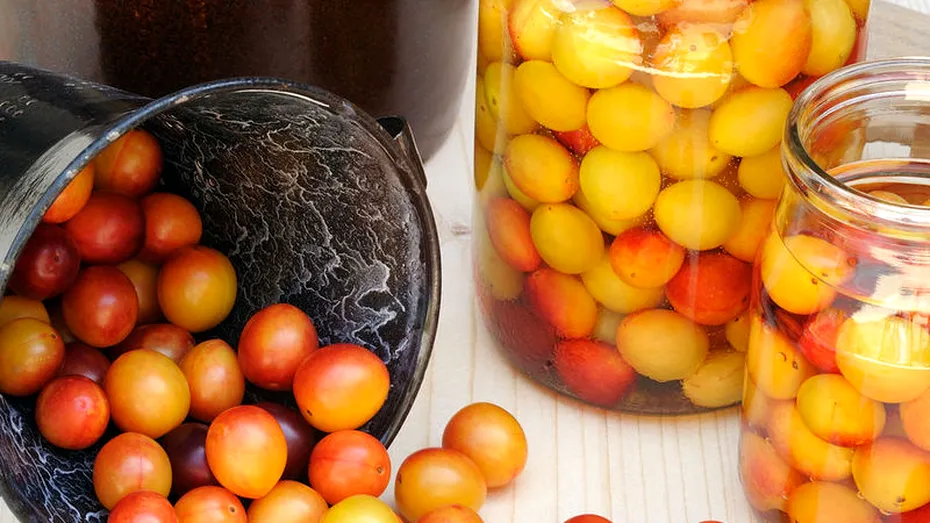 Beneficiile corcoduşelor pentru organismul nostru. Cum ajută sistemul nervos