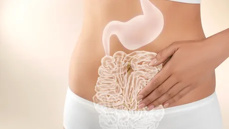 Cât contează microbiomul în sănătatea hormonală?