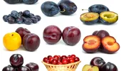Diabeticii pot consuma fructe? Adevărul din spatele acestui mit VIDEO
