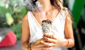 Planta aromatică care purifică locuința și alungă toate energiile negative. Cum să o folosești?