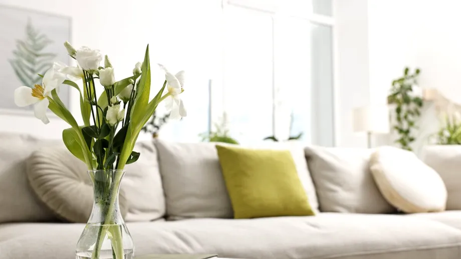 Obiectul care aduce noroc în casa ta. Cum și unde să-l așezi ca să-ți împlinești toate dorințele