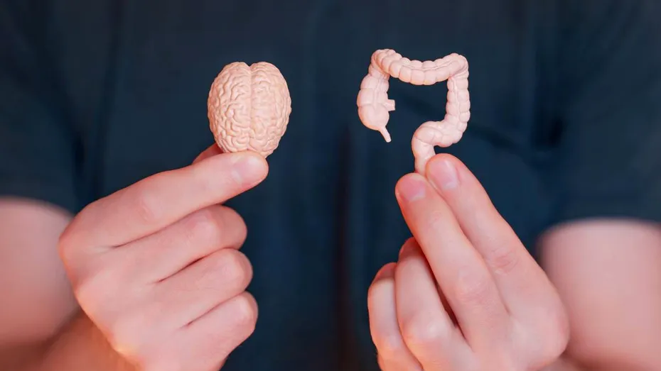 Cum influențează stresul sărbătorilor digestia și apetitul?