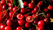 Cum să scapi de viermii din cireșe. Ce pățești dacă mănânci unul