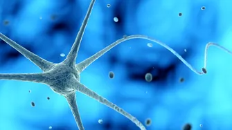 Parazitul invizibil care poate ajunge în creier. Simptomele care îți arată că este prezent