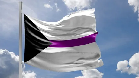 Ce înseamnă să fii demisexual și cum apare atracția în acest caz