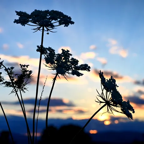 Echinocțiul de toamnă 2025. Momentul astronomic ce marchează intrarea oficială în sezonul rece