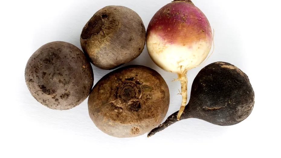 Rădăcina minune care îți curăță ficatul și îți întărește imunitatea