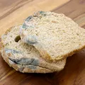 Este sigur să mănânci pâine mucegăită? Iată ce spun experții
