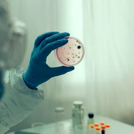 Ce este și cum se manifestă Serratia Marcescens, bacteria care a dus la moartea a șase copii internați Spitalul „Sf. Maria” din Iași