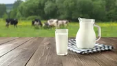 Laptele organic versus laptele convențional