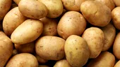 Cartof crud pe frunte pentru febră: funcționează sau este doar un mit?