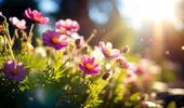 Vrei ca florile din grădină să reziste peste iarnă și să înflorească din abundență la primăvară? Ce să pui la rădăcina lor, la început de toamnă