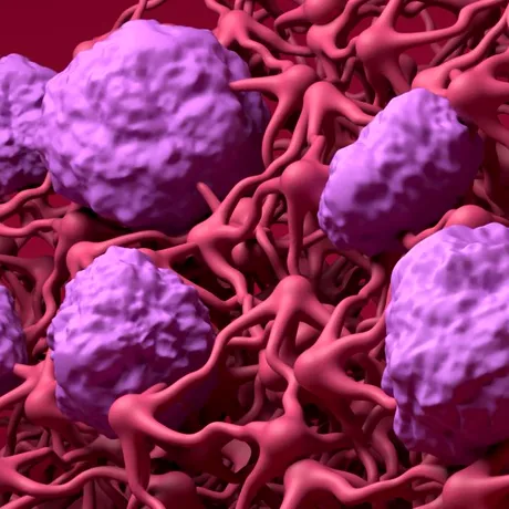 Alimente care încetinesc răspândirea celui mai agresiv cancer. Sunt bogate în B3