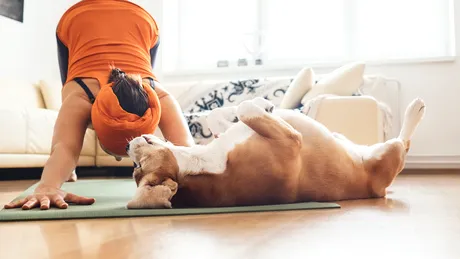 5 tipuri de exerciții care fac bine atât creierului, cât și siluetei. Le poți face acasă!