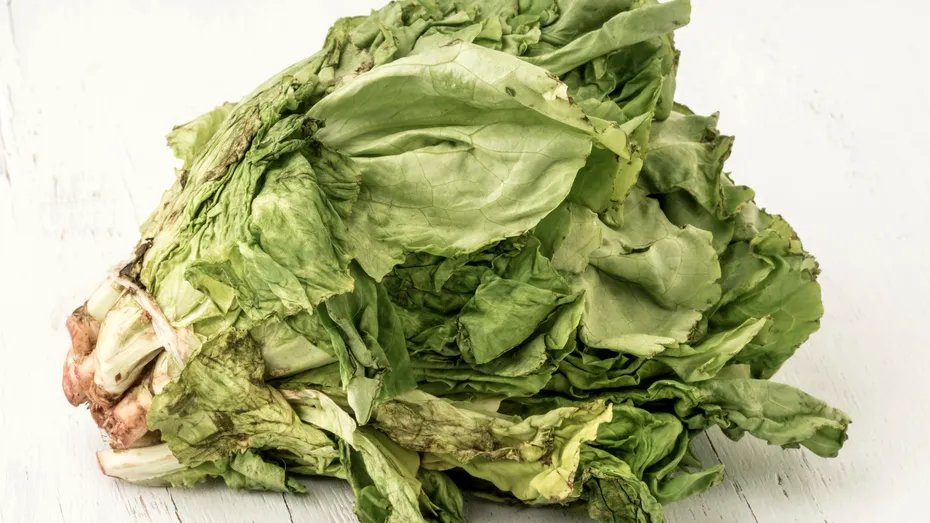 Cum întârzii ofilirea salatei în frigider. 5 trucuri EFICIENTE de pus în practică