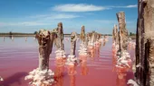 Lacul roz aflat la câteva ore de România care atrage turiști din toată regiunea. Apa își schimbă culoarea și are proprietăți terapeutice / VIDEO
