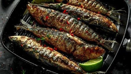 Scrumbia de Dunăre, cel mai sănătos peşte. Ce beneficii are şi cum trebuie gătită