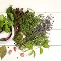 Ierburi care curăță plămânii și calmează tusea. Remedii naturale eficiente