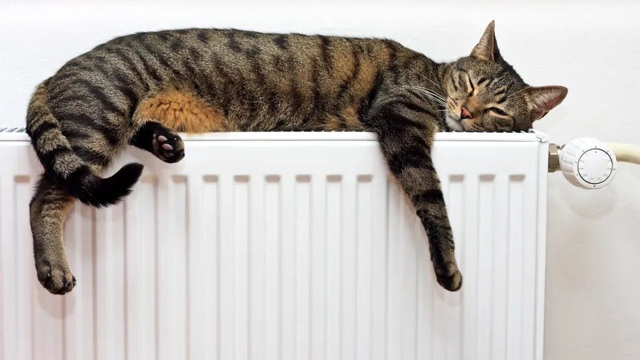 De ce e bine să pui folie de aluminiu în spatele caloriferelor. Trucul care îți scade factura la gaze