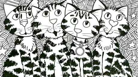 Iluzie optică virală | În această poză sunt 4 pisici, dar și un pește. Găsiți-l în maximum 7 secunde!