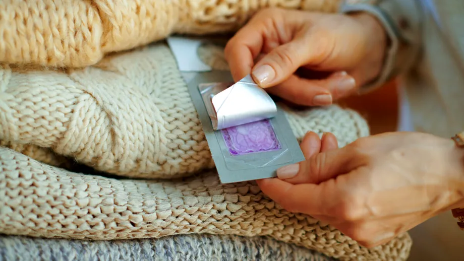 Soluții naturale pentru molii. Ingrediente de care nu se apropie niciodată!