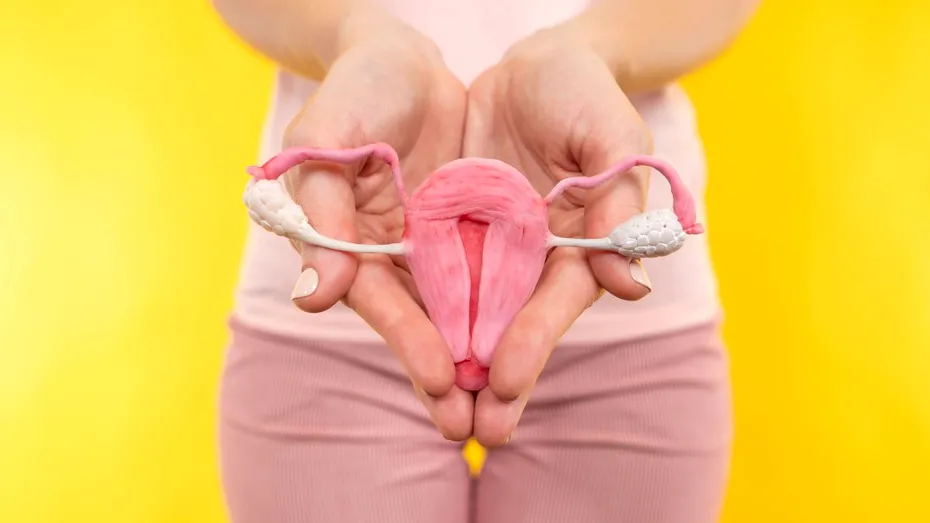 Femeile la risc să dezvolte cancer ovarian și care nu doresc să mai aibă copii, sfătuite să ia în considerare extirparea trompelor uterine