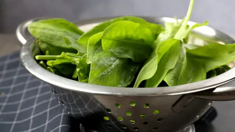 Ștevia românească: „fabrica de vitamine” din farfurie. Beneficii, proprietăți și idei simple de rețete