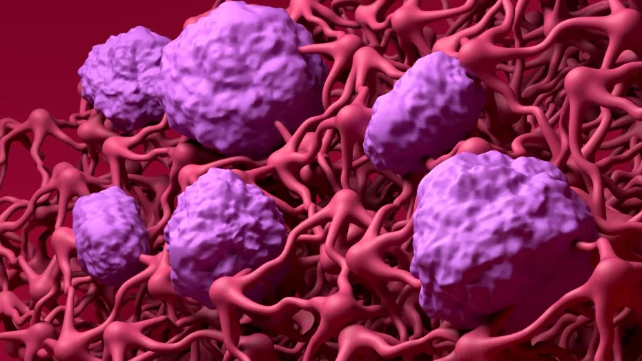 Alimente care încetinesc răspândirea celui mai agresiv cancer. Sunt bogate în B3