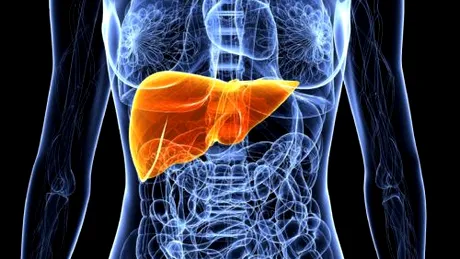 Ficat gras (steatoza hepatica): dieta, analize, tratament