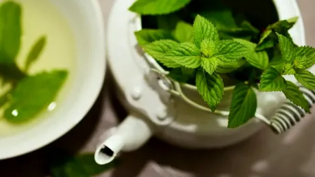 6 ceaiuri medicinale ale căror beneficii pentru sănătate au fost confirmate prin studii