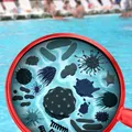 Riscurile ascunse ale piscinei: ce infecții poți lua chiar și din apa tratată cu clor