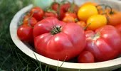 Cum poți păstra roșiile întregi, fără să le transformi în bulion sau suc? Metoda italienilor pentru o conservare corectă