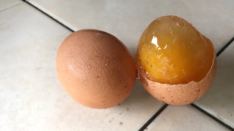 De ce nu e bine să congelezi ouăle crude întregi în coajă. 4 metode sigure de a congela ouă