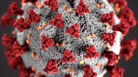 Fundaţia lui Bill Gates va pune la dispoziţia oamenilor kituri de testare acasă pentru depistarea coronavirusului
