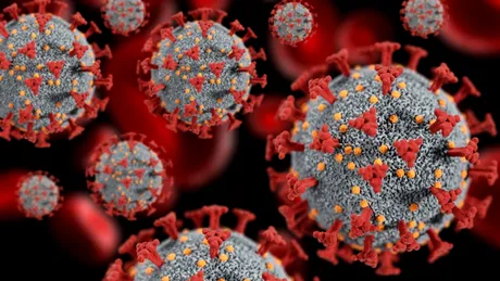 Avertisment global: o „ciupercă mortală” ar putea deveni una dintre cele mai serioase amenințări pentru sănătate