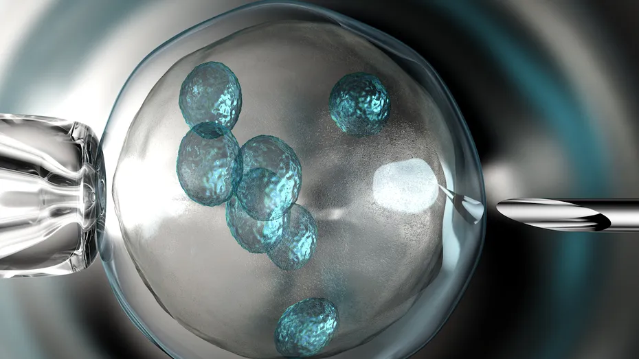 Testele genetice pe embrioni: cum se fac şi cui sunt recomandate
