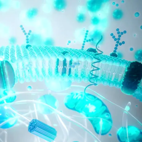 Balonare, greață, reflux după Paște? Ghid rapid de revenire digestivă