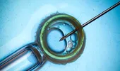 Fertilizarea in vitro: despre mama surogat şi rejuvenarea ovarelor