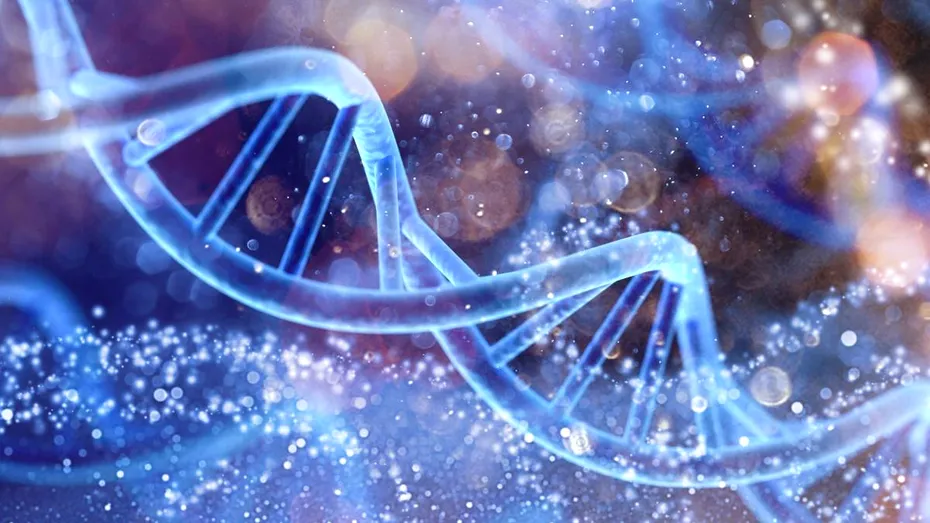 Știința confirmă că postul este un aliat real al longevității, regenerând corpul și mintea