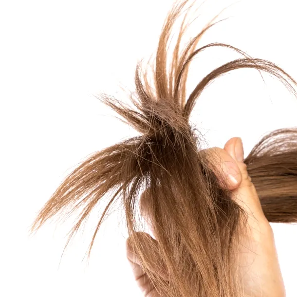 Cum să ai păr luminos și catifelat iarna. „Șamponul sandwich” e secretul hairstyliștilor