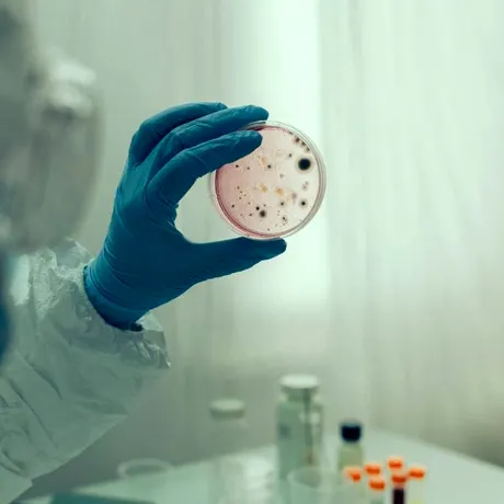 Focar de norovirus pe o navă de croazieră din Caraibe: peste 100 de persoane infectate. Cum diferă de Covid-19 și Hantavirus