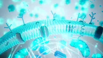 Balonare, greață, reflux după Paște? Ghid rapid de revenire digestivă