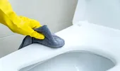Cum să elimini rapid petele de pe vasul de toaletă. Va fi curat și strălucitor